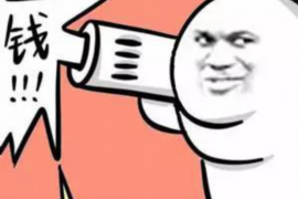 台山融资清欠服务